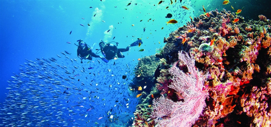 Silversea creates 20 Scuba Diving Expedition Voyages for 2016-2017